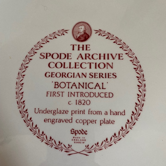 SPODE Archive Collection Georgian Series "Botanicals" Display Plate Collectible - Picture 4 of 6
